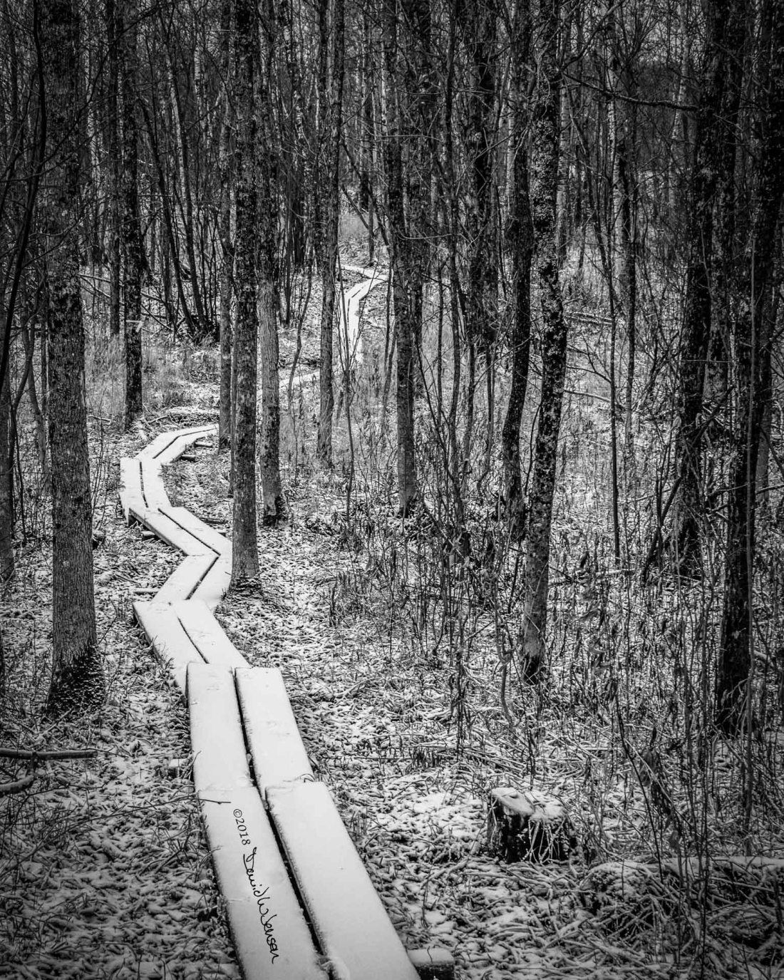 NVM_0022-Edit-Edit