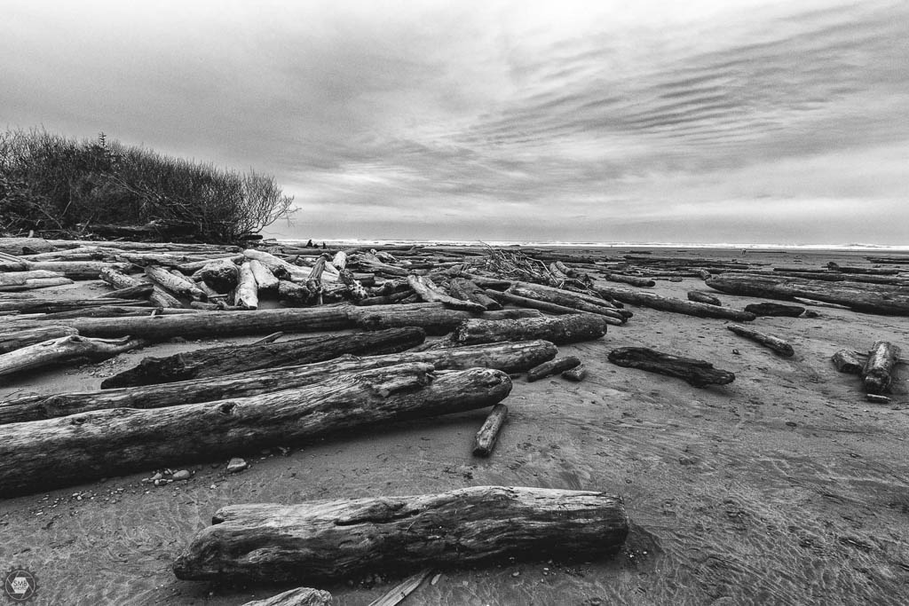 20161111-0n8a6708-edit