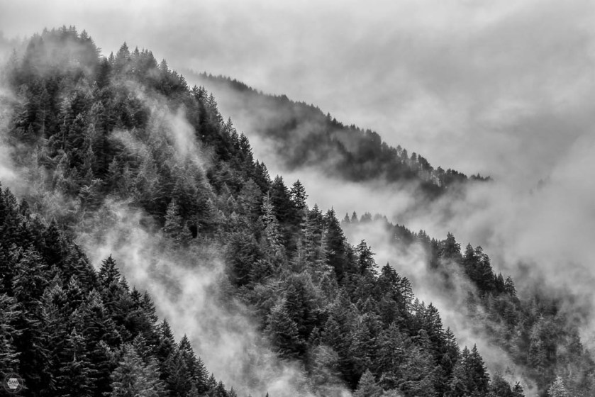 20161125-0n8a7103-edit