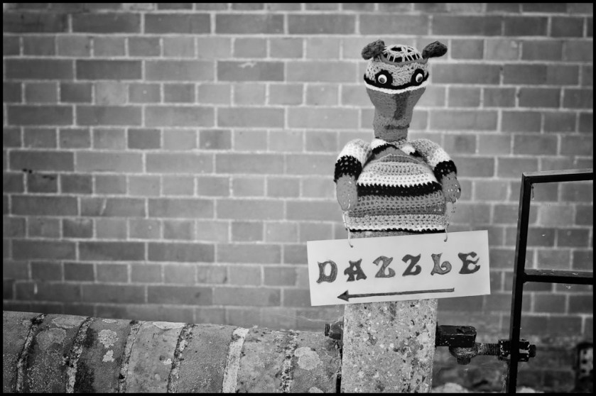 20180705-untitled shoot-18-Edit