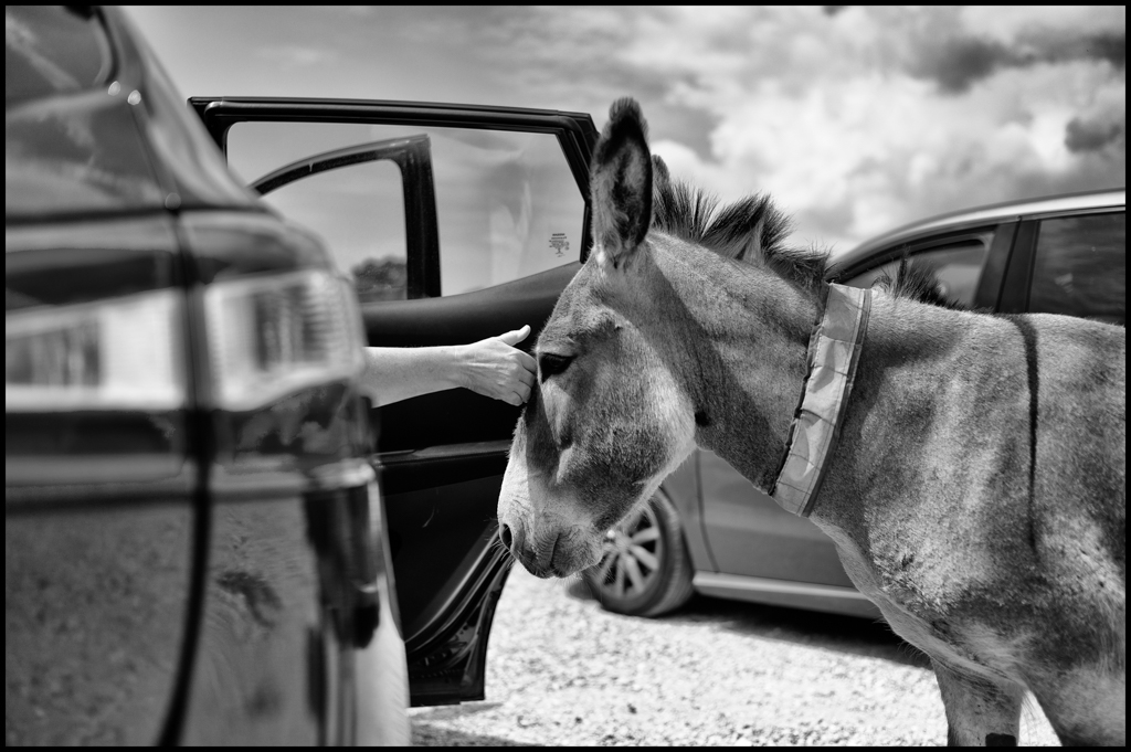 20180705-untitled shoot-39-Edit-2