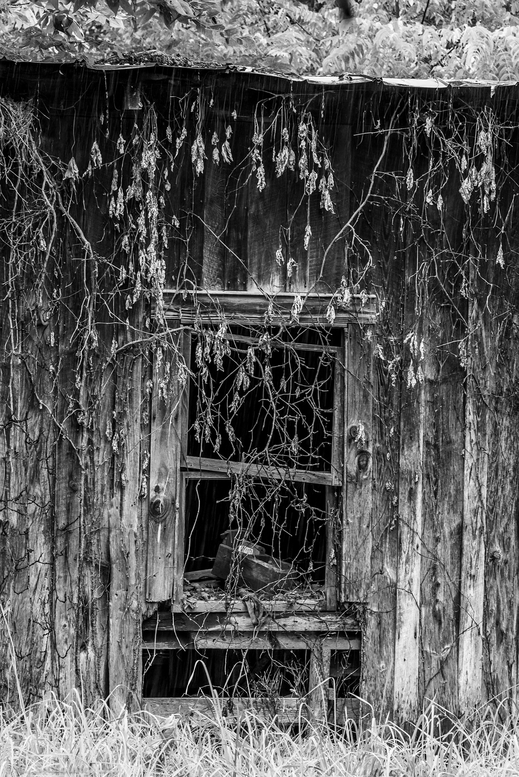 Old Jackson Barn Window Composition