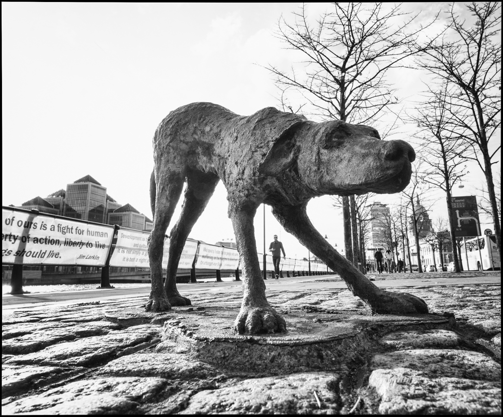 20181014-untitled shoot-95-edit