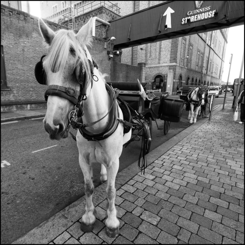 20181015-untitled shoot-27-edit