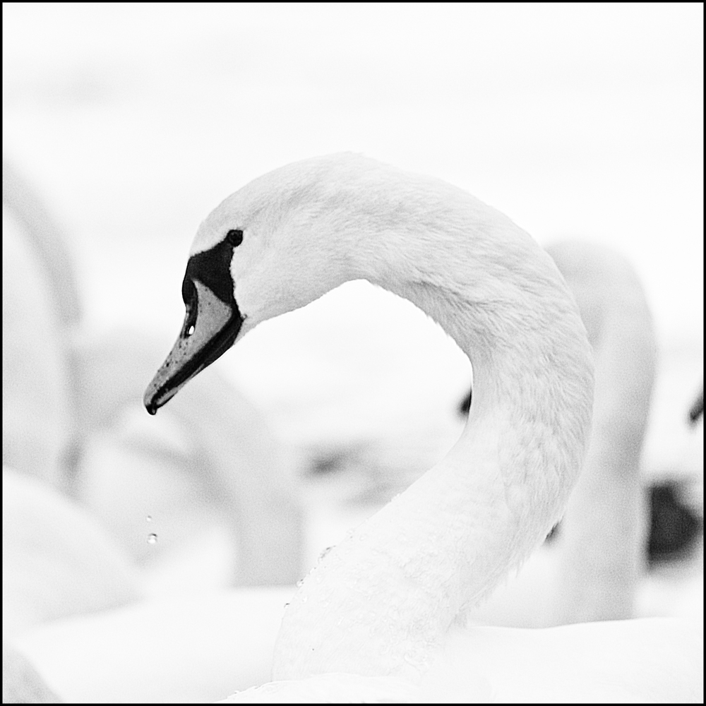 20190112-untitled shoot-20-edit-edit