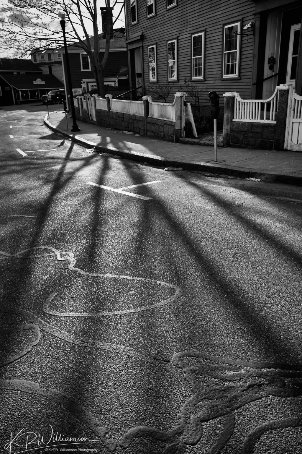 tree shadows-1