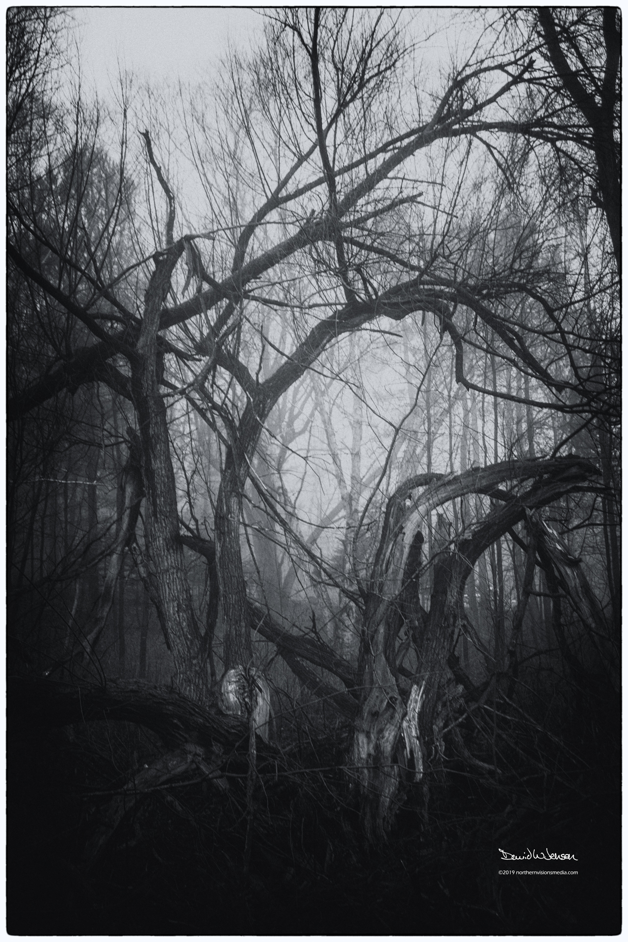 NVM_0146-Edit-Edit