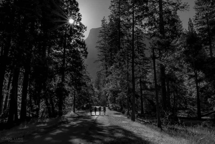 National Park, Photography, Black and White, Monochrome, Landscape, Nature, Fujifilm X-T2