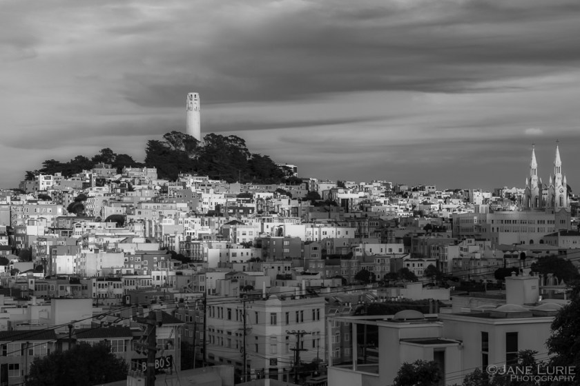 Coit Tower, San Francisco, California, Nikon, Photography, Cityscape, 