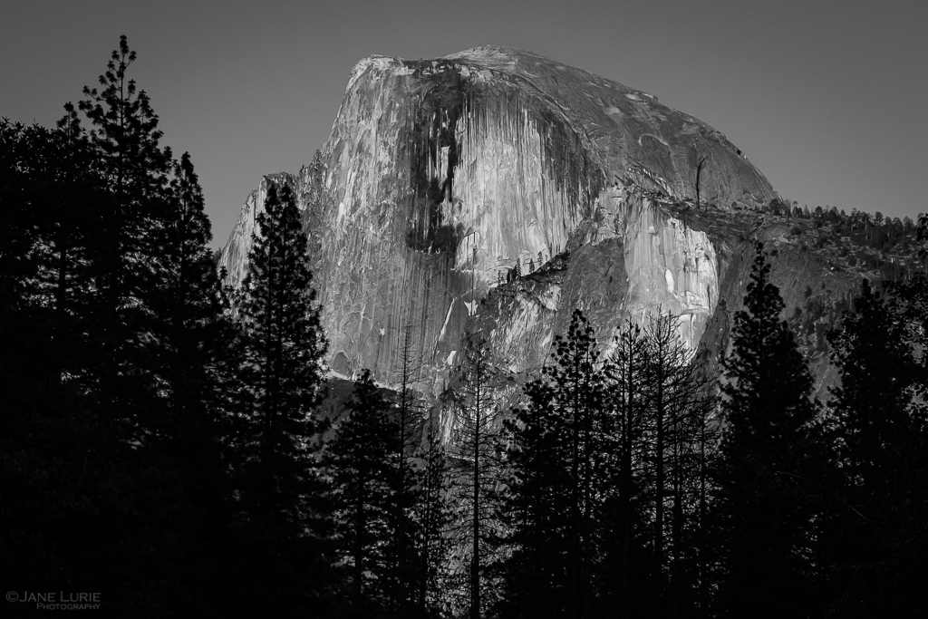 Yosemite, California, Photography, Black and White, Monochrome, National Park