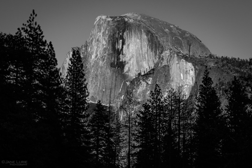Yosemite, California, Photography, Black and White, Monochrome, National Park