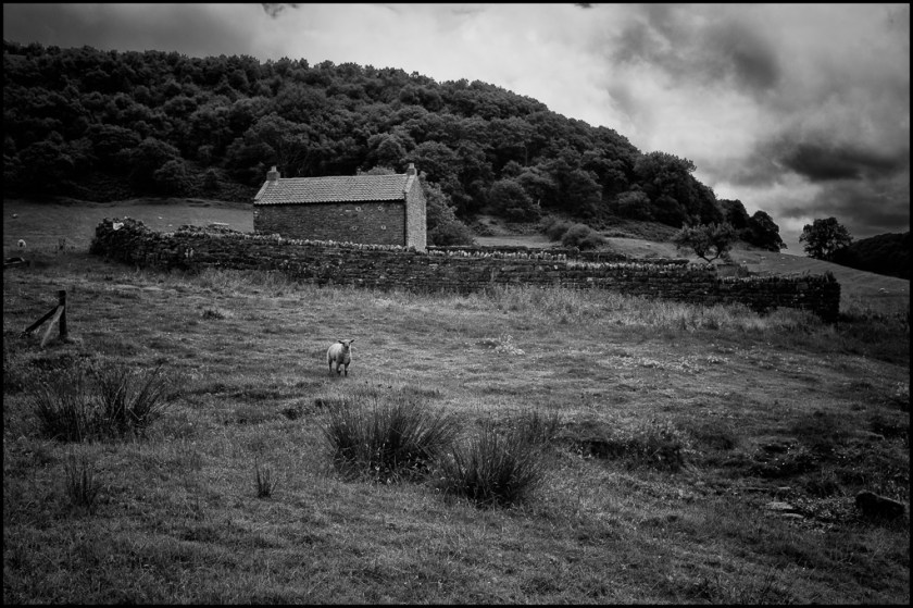 20190729-untitled shoot-15-Edit