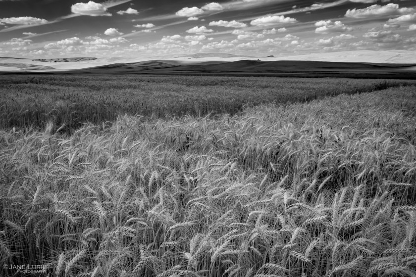 Landscape Photography, Black and White, Fujifilm X-T2