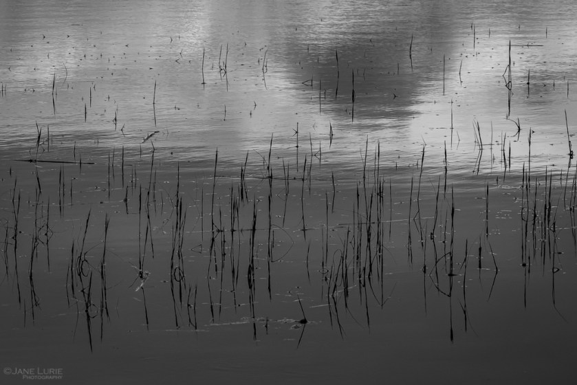 Photography, Fujifilm X-T2, Nature, Abstract, Black and White, Monochrome