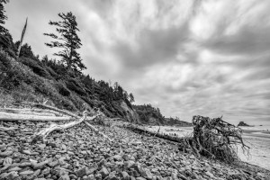 Indian Beach Driftwood and Rock Composition 2