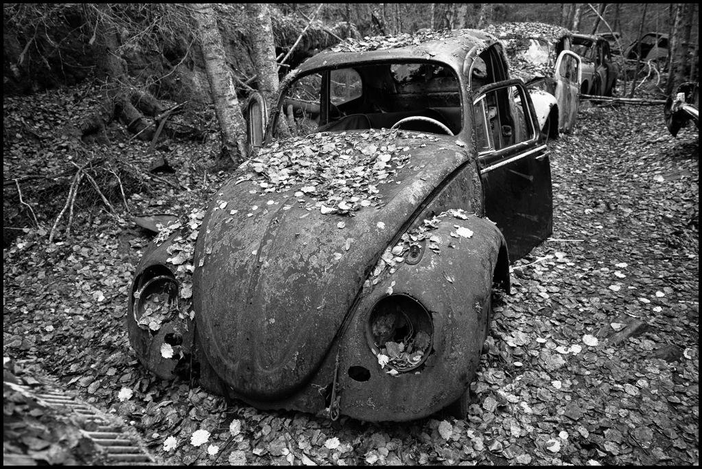 20151031-untitled shoot-124-Edit