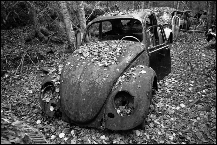 20151031-untitled shoot-124-Edit