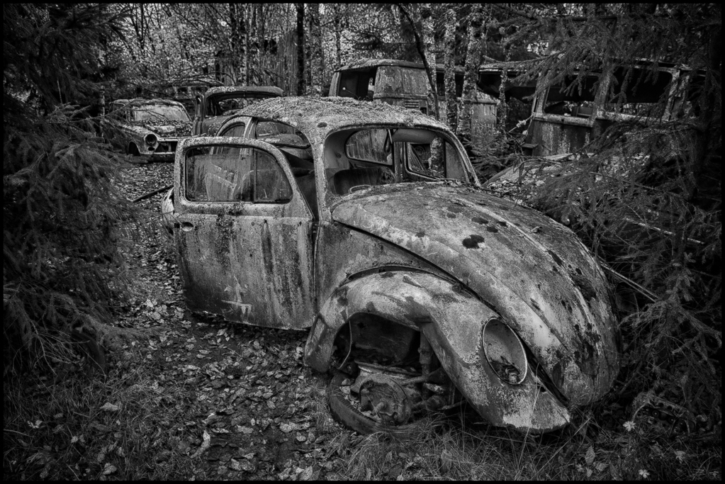 20151031-untitled shoot-135_HDR-Edit