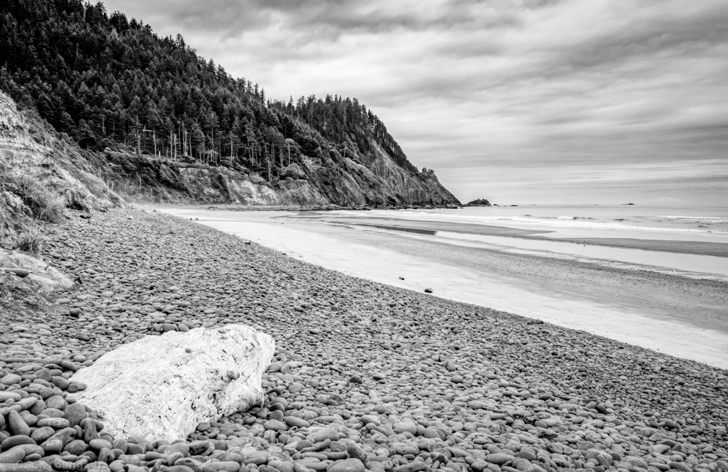 Cape Falcon Shoreside Composition 2