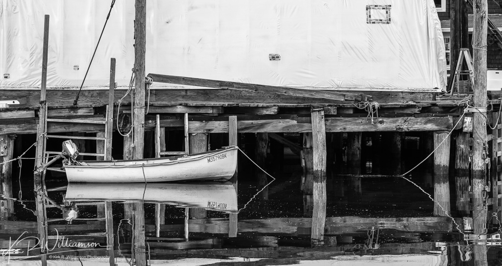 monochromia-1