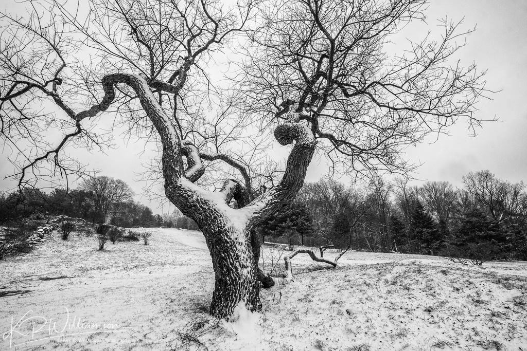monochromia-3