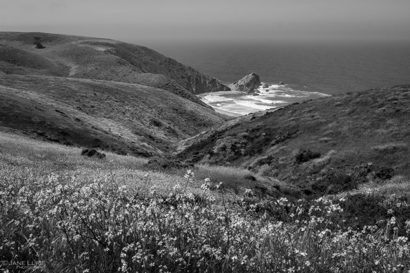 Photography, Landscape, Black and White, California, Point Reyes
