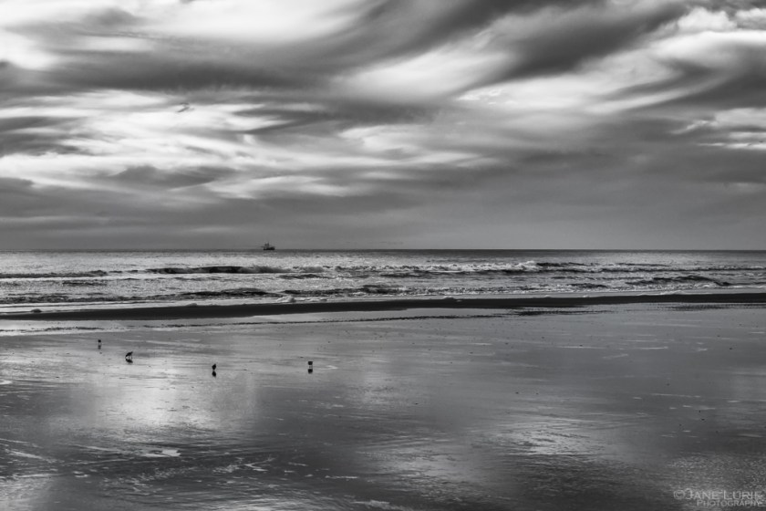 Landscape, Black and White, Photography, Nikon, South Carolina, Kiawah Island