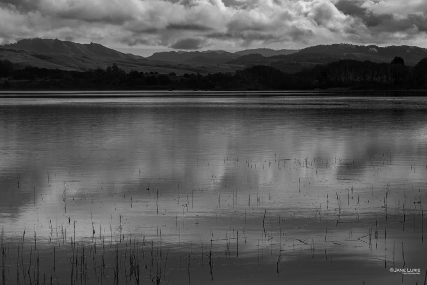 Black and white, Monochromia, Monochrome, Photography