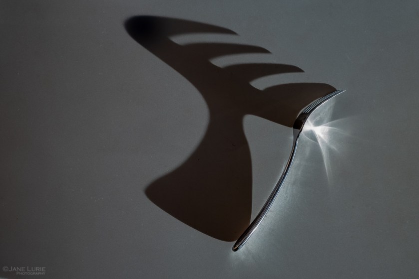 black and white, Abstract, Photography, Shadow, Monochromia, Jane Lurie