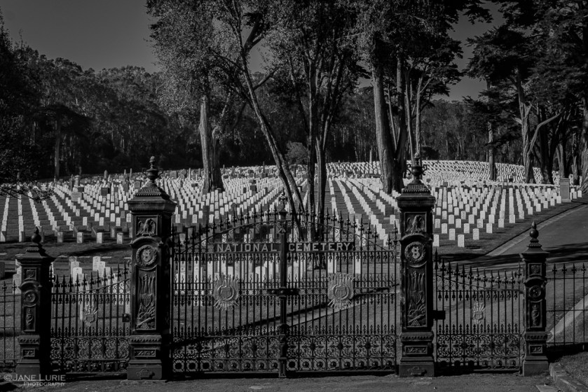 Black and White, Photography, Monochromia, Jane Lurie