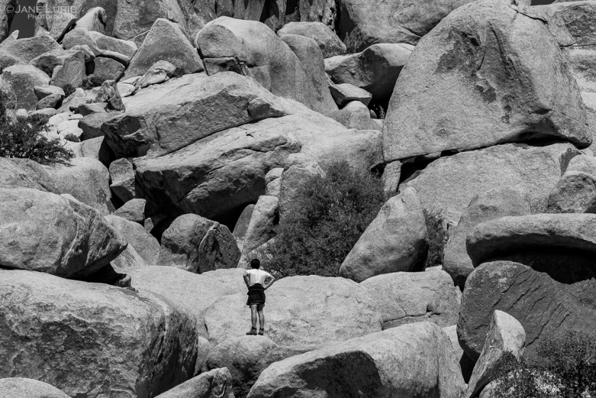 Black and White, Photography, Monochromia, Jane Lurie