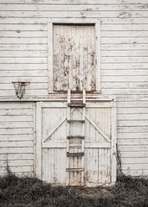 Phipps Farm Barn Door Detail 1