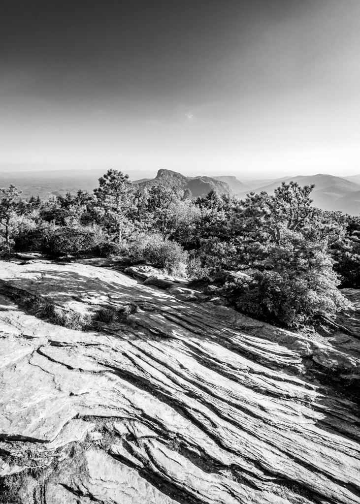 Hawksbill Mountain Rockscape 1