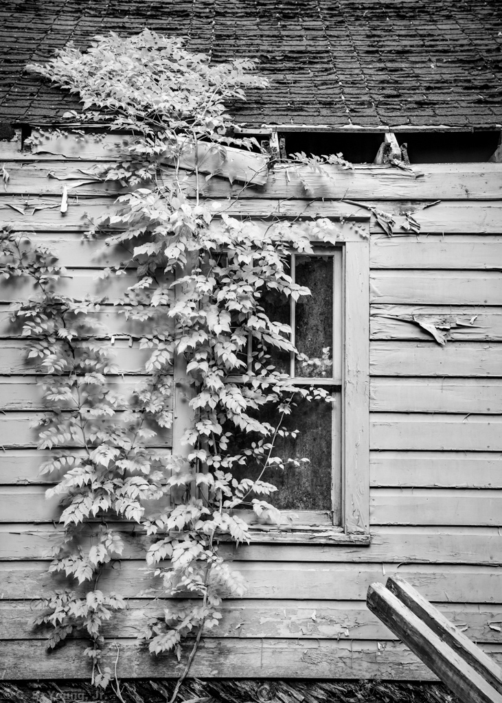 Abandoned House on Moore Rd
