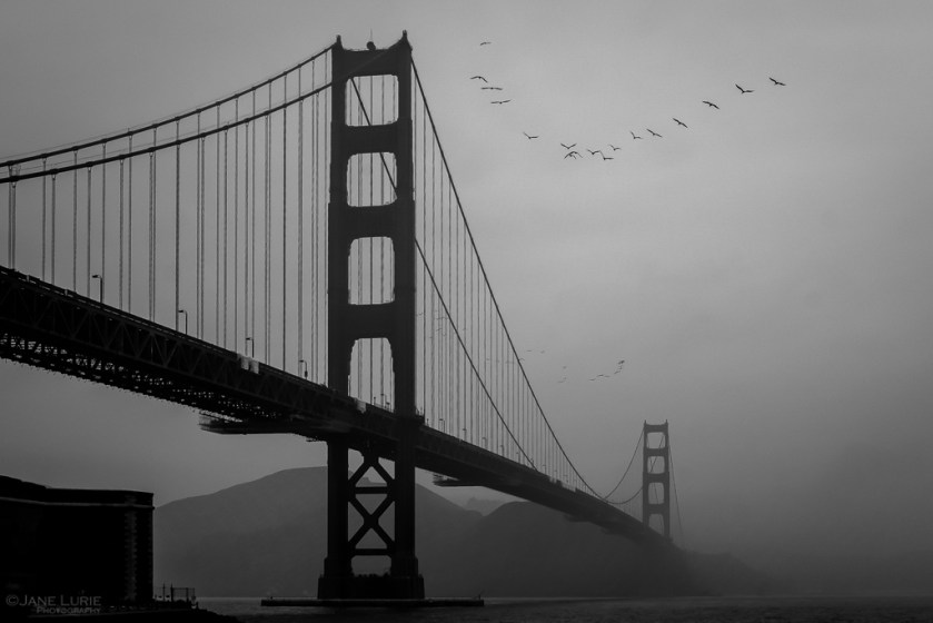 Golden Gate Bridge, San Francisco, Black and White, Monochrome, Monochromia, Jane Lurie