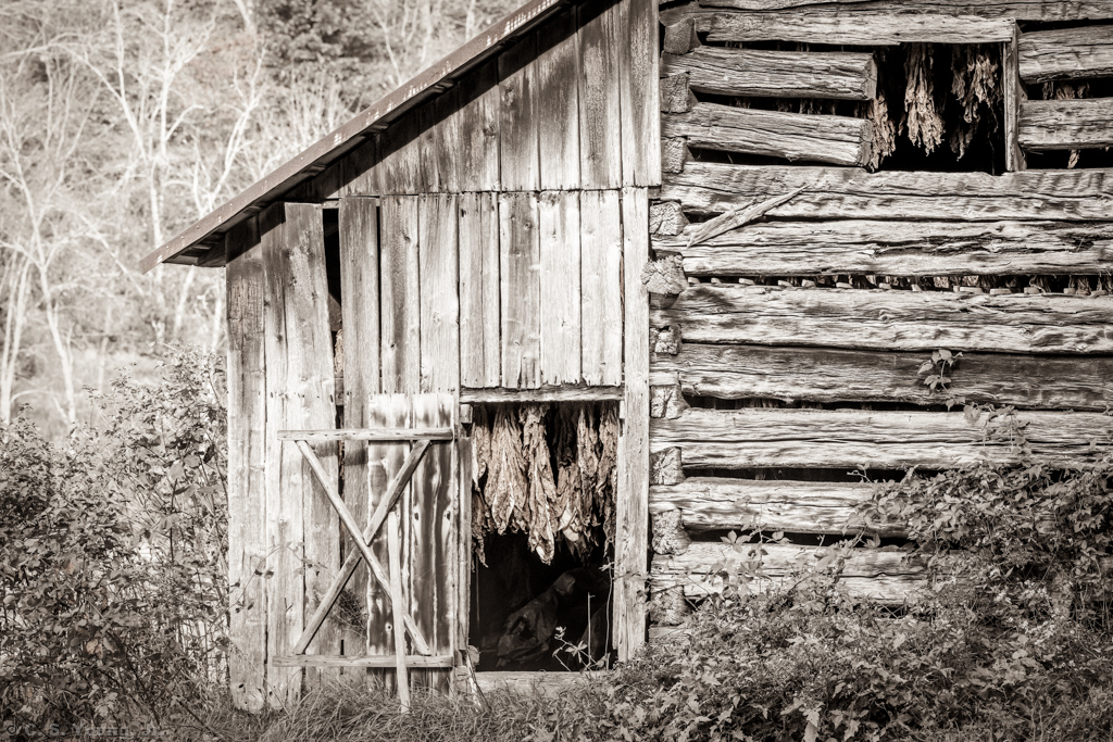 Tobacco Barn on Parsons Hill Rd