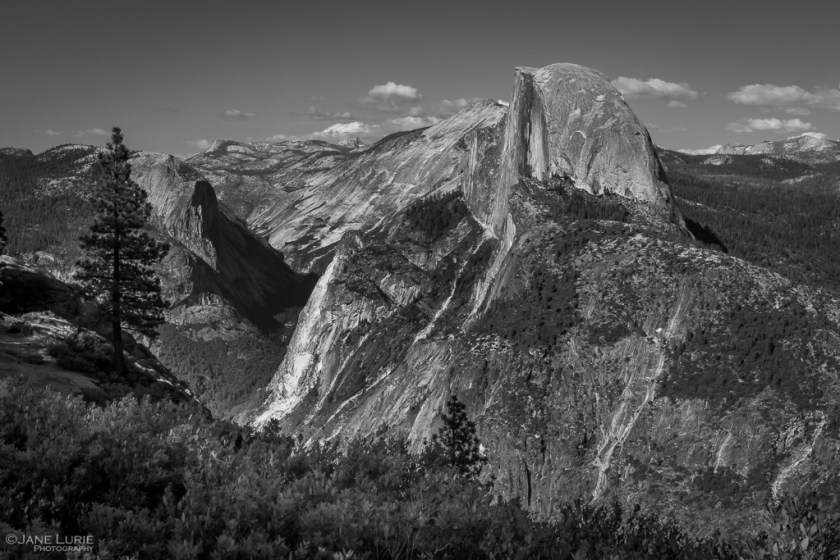 Yosemite, Half Dome, California, Nikon, National Park, Earth Day, Photography, Jane Lurie, Black and White