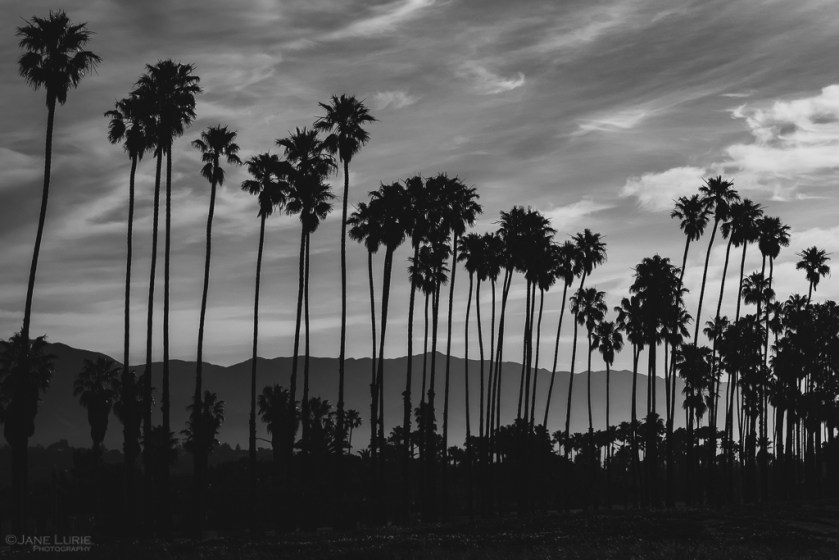 Black and White, Photography, Fujifilm;m X-T4, Monochrome, Monochromia