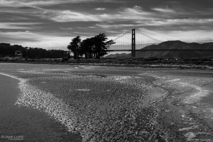 Golden Gate, San Francisco, Black and White, Photography, Fujifilm X-T4