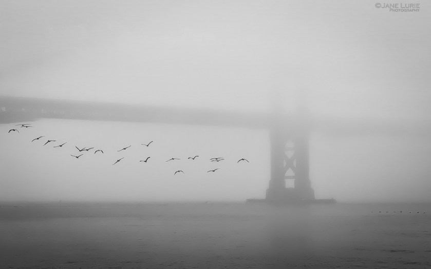 Black and White, Photography, Fujifilm X-T4, Jane Lurie, Golden Gate Bridge, San Francisco