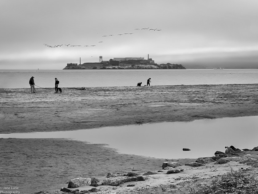 San Francisco, Alcatraz, Photography, Black and White, Monochromia, 