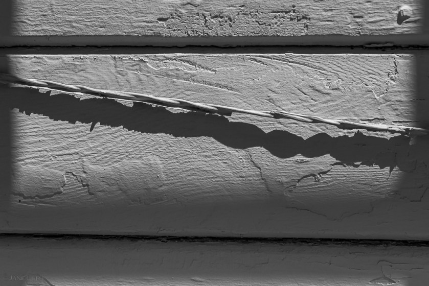 Photography, Black and White, Nikon, Close-up, Shadow