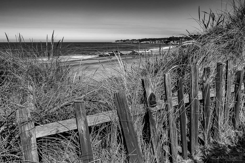 Sea Ranch, Photography, California, Black and White, Monochrome, Fujifilm X-T4