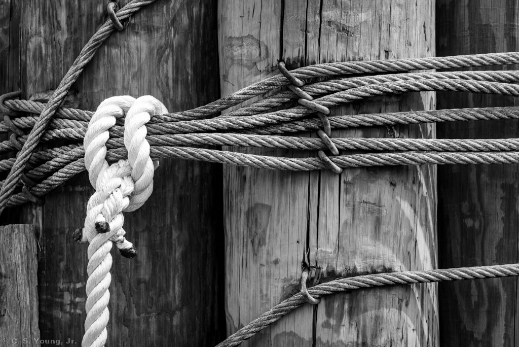 Hatteras Ferry Terminal Piling Detail 1