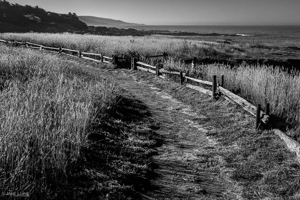 Photography, Black and White, Sea Ranch, California, Jane Lurie, Fujifilm X-T4