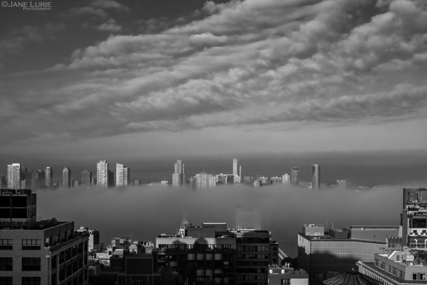 Black and White, Photography, New York, Hudson River, Monochromia, Jane Lurie