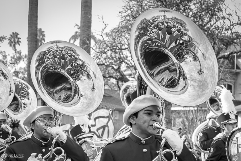Tuba, Parade, Portrait, Street Photography, Pasadena, Rose Parade