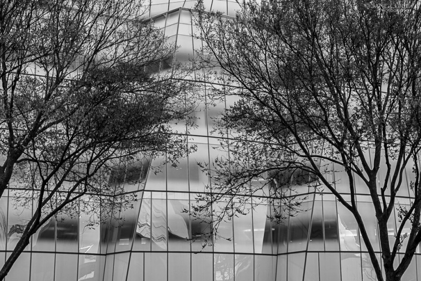 Architecture, Photography, Black and White, Jane Lurie, Fujifilm X-T4, Monochromia