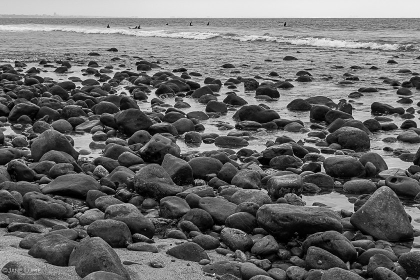 Black and White, Rain, Jane Lurie, Photography, Monochromia, Nature