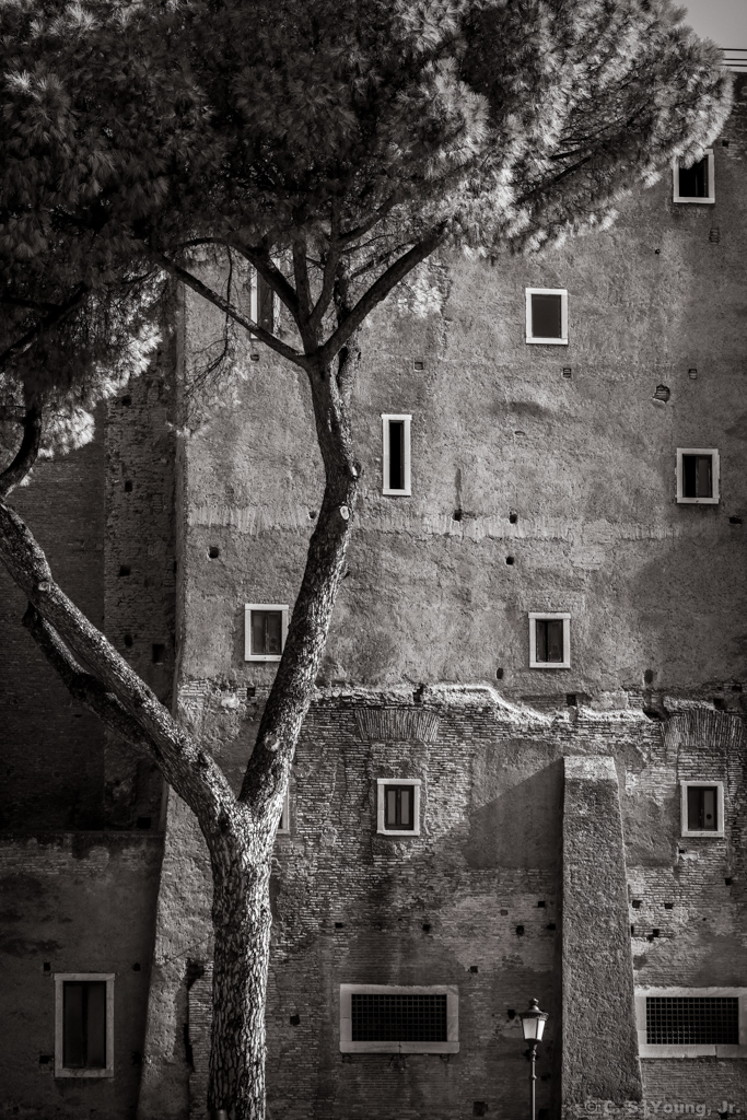 Torre dei Conti Composition